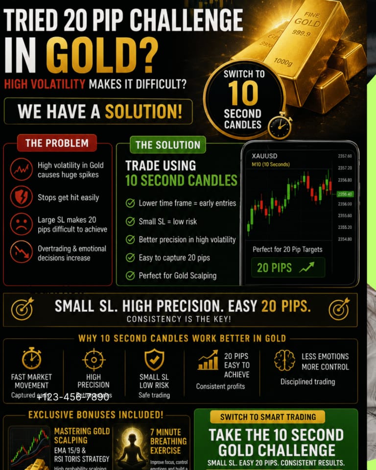 20-Pip Challenge full version preview